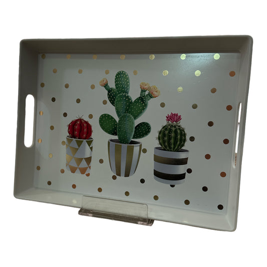 Plastic tray 29x22cm